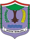 Logo Binjai